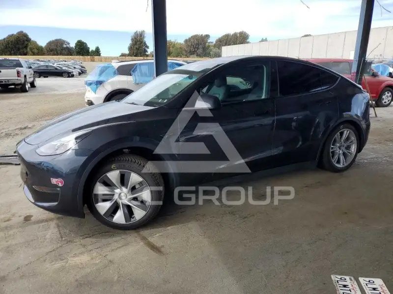 2024 Tesla Model Y фото