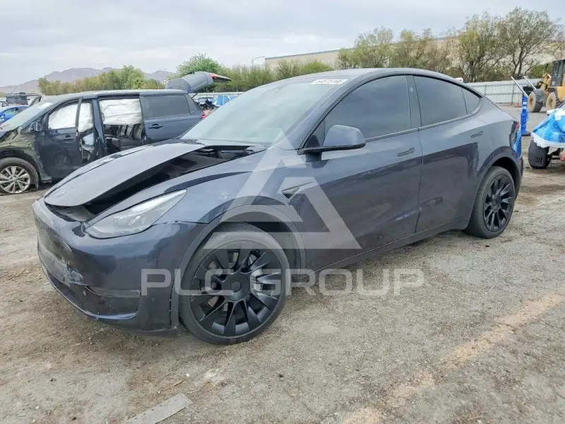 2024 Tesla Model Y фото