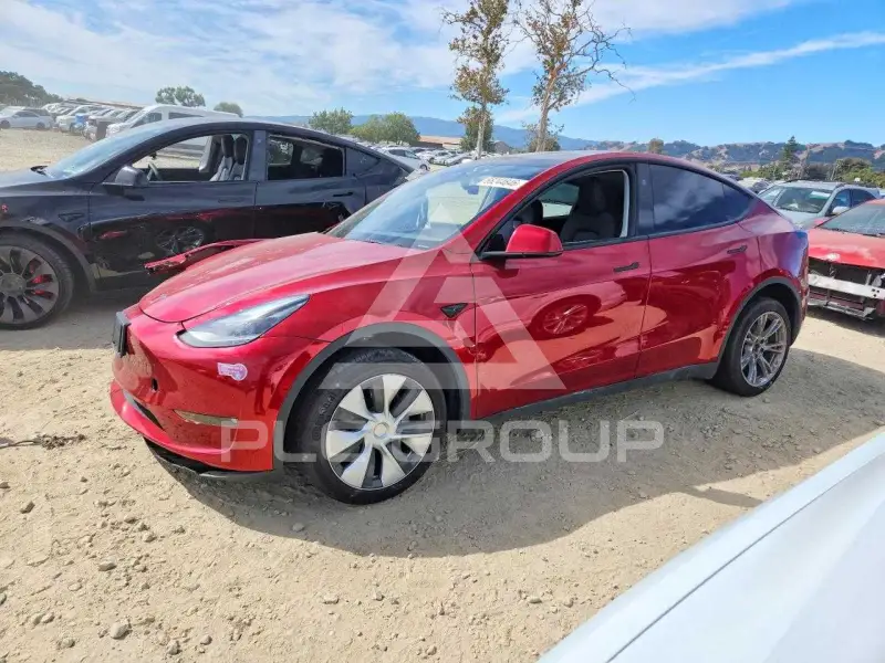 2024 Tesla Model Y фото