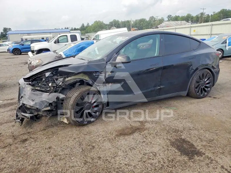 2024 Tesla Model Y photo