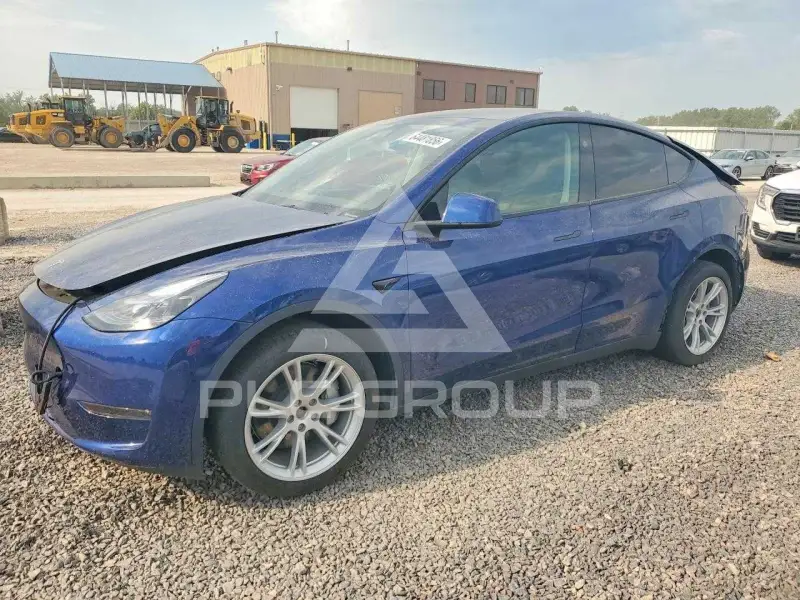 2024 Tesla Model Y photo