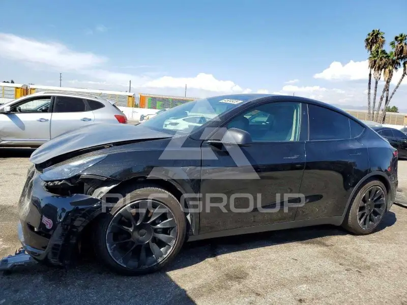2024 Tesla Model Y photo