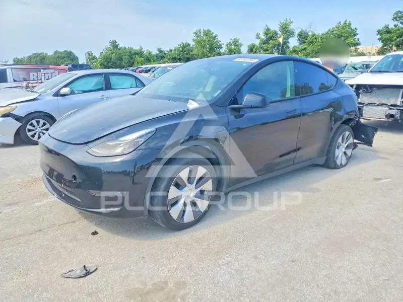 2024 Tesla Model Y photo