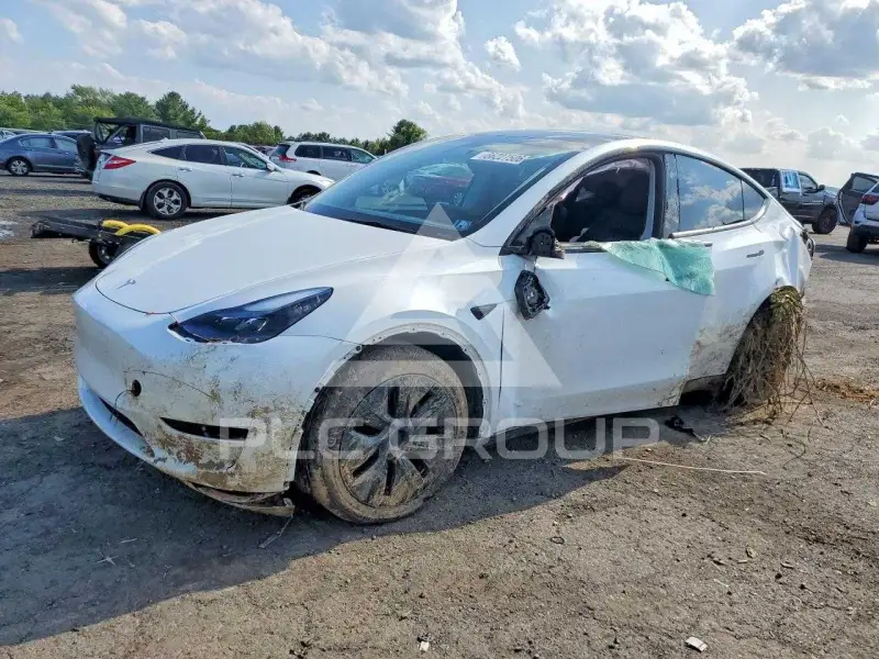 2024 Tesla Model Y фото