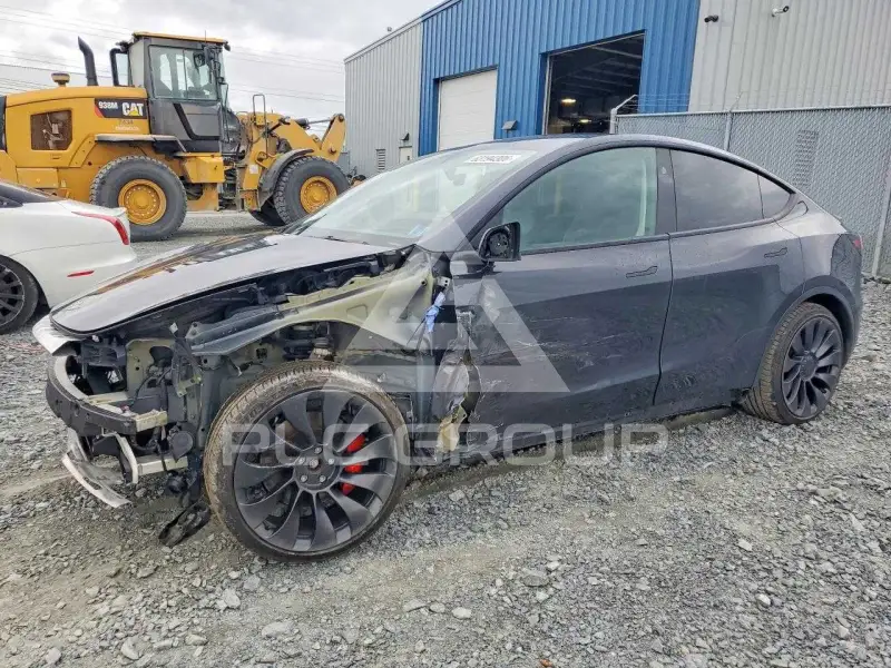 2024 Tesla Model Y фото