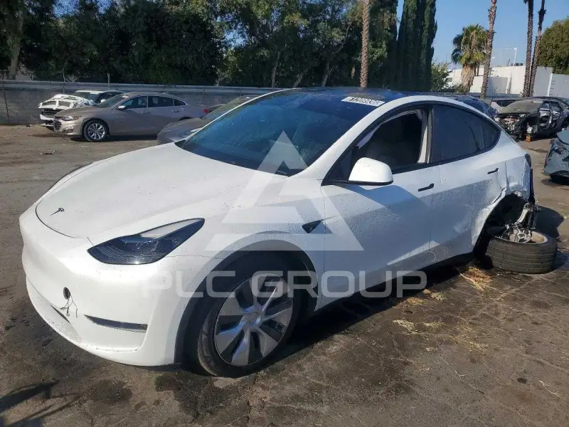 2024 Tesla Model Y фото