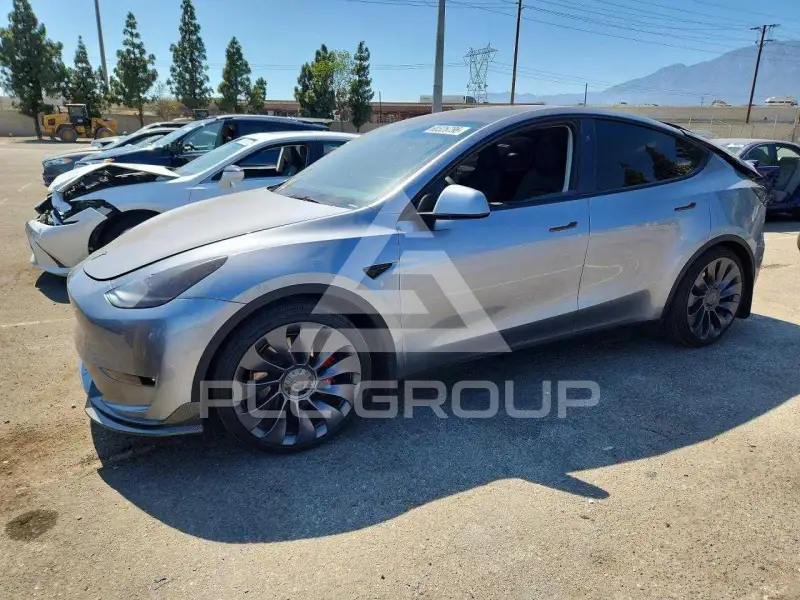 2024 Tesla Model Y photo