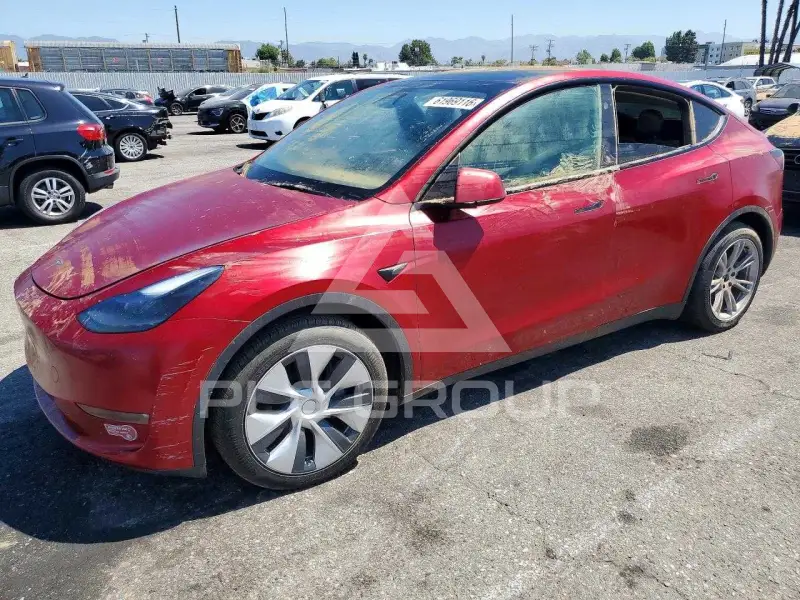 2024 Tesla Model Y photo