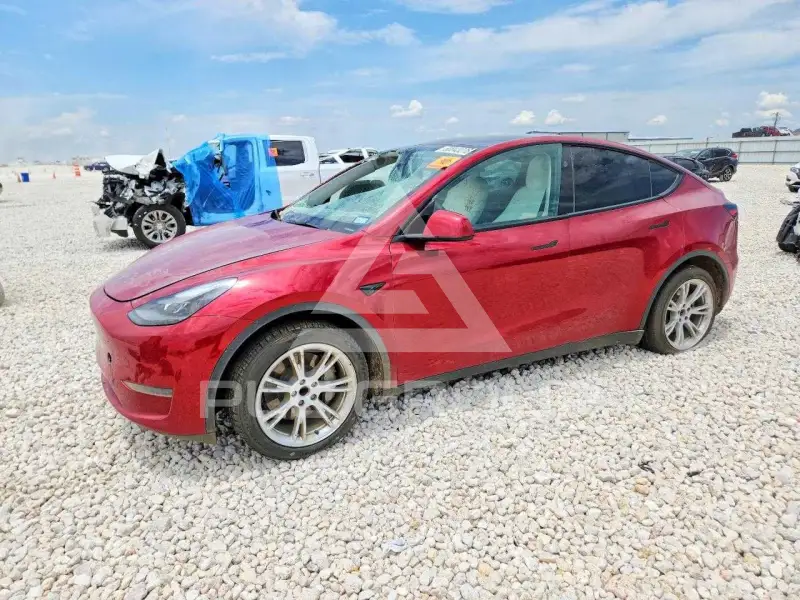 2024 Tesla Model Y photo