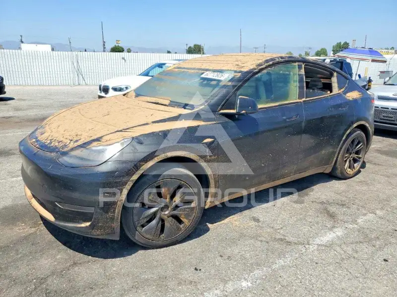 2024 Tesla Model Y photo