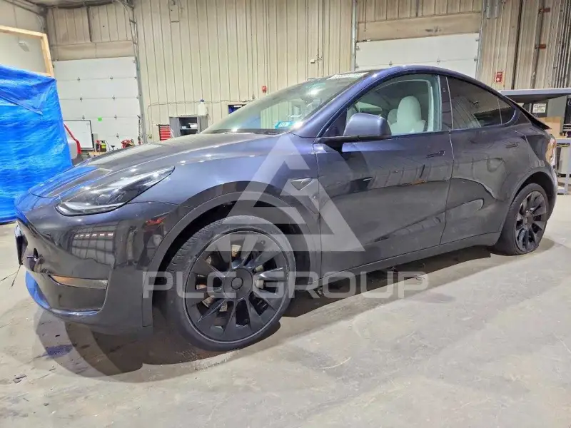 2024 Tesla Model Y photo