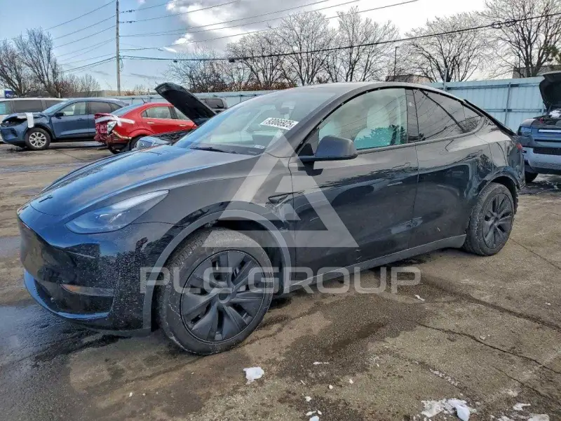 2024 Tesla Model Y фото