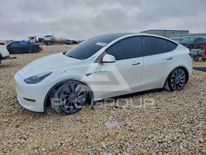 2024 Tesla Model Y фото