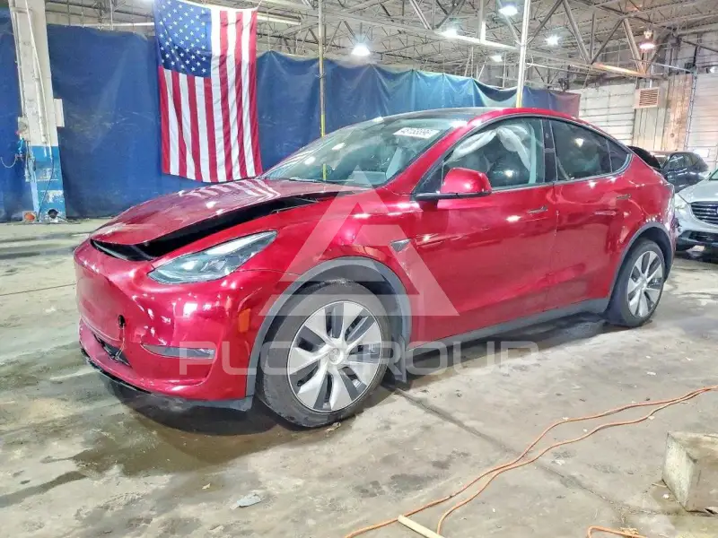 2024 Tesla Model Y photo