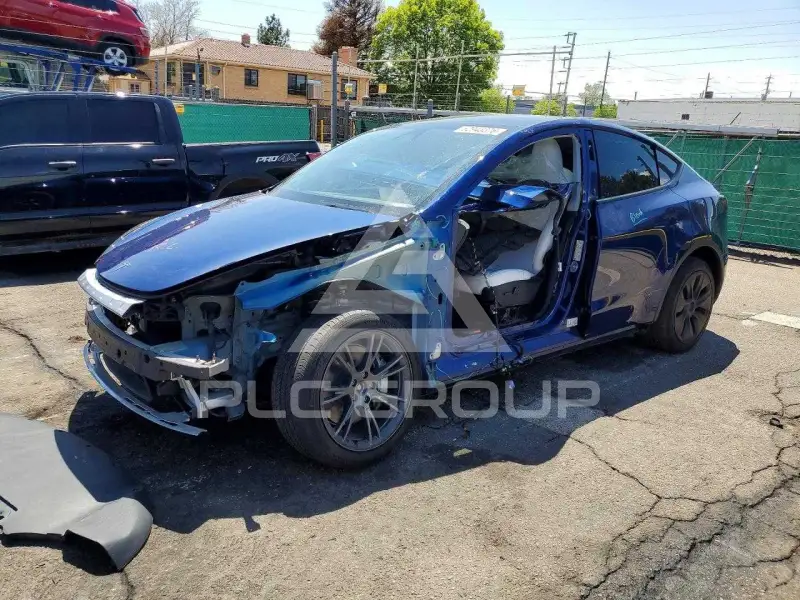 2024 Tesla Model Y photo