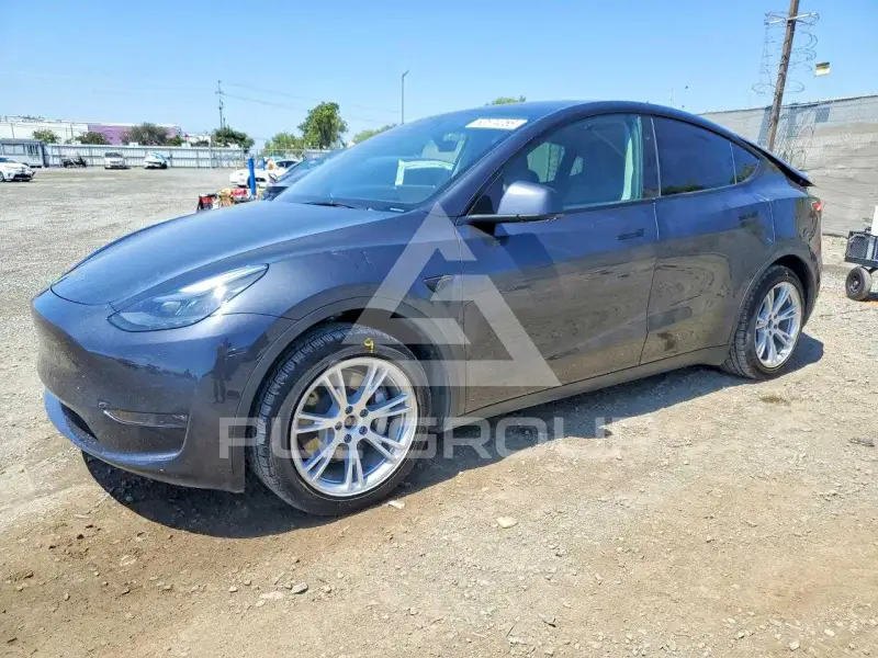 2024 Tesla Model Y photo
