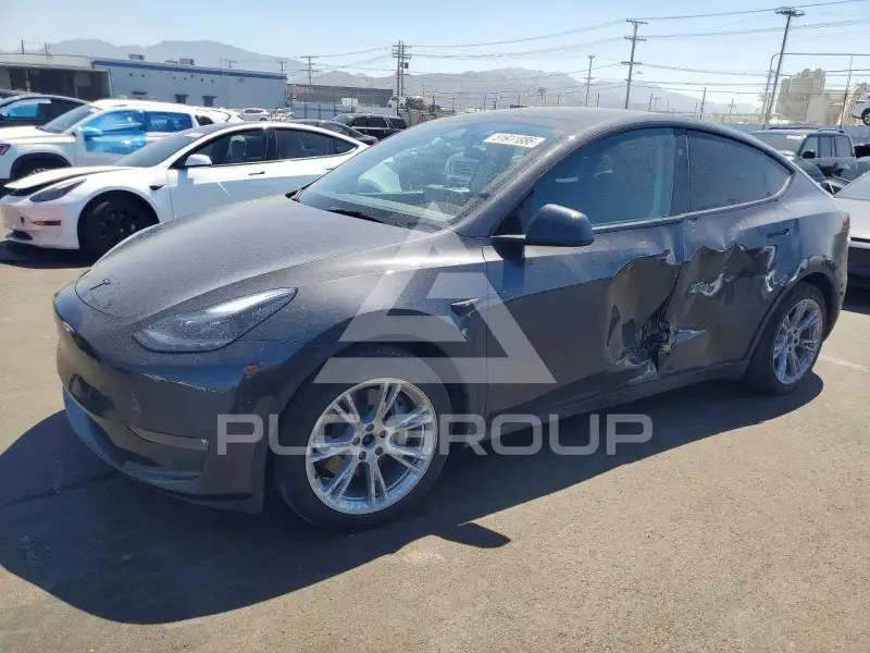2024 Tesla Model Y фото
