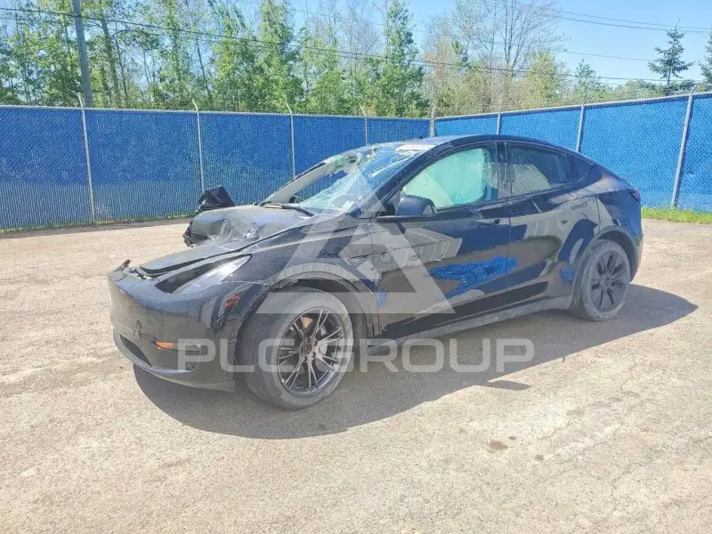 2024 Tesla Model Y photo