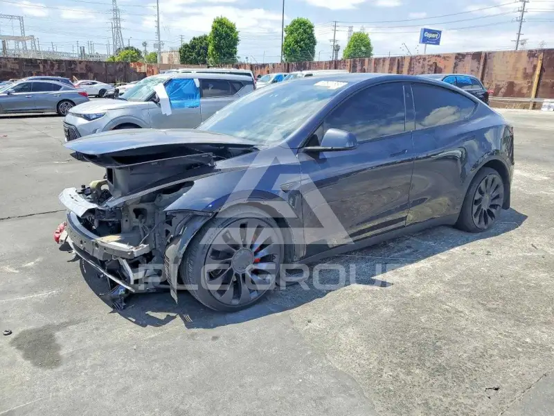 2024 Tesla Model Y photo