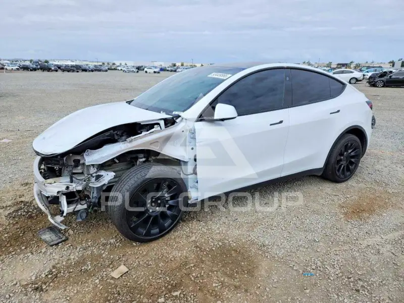 2024 Tesla Model Y photo