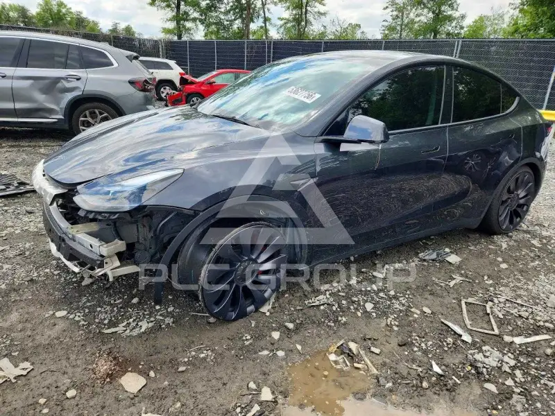 2024 Tesla Model Y фото