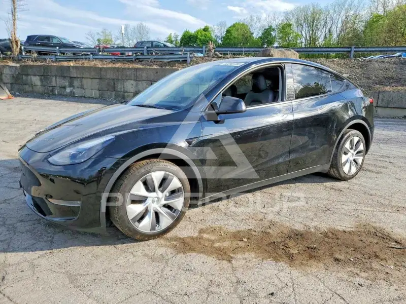 2024 Tesla Model Y фото