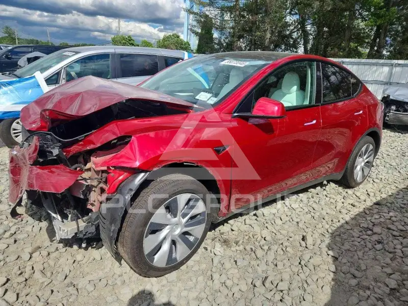 2024 Tesla Model Y фото