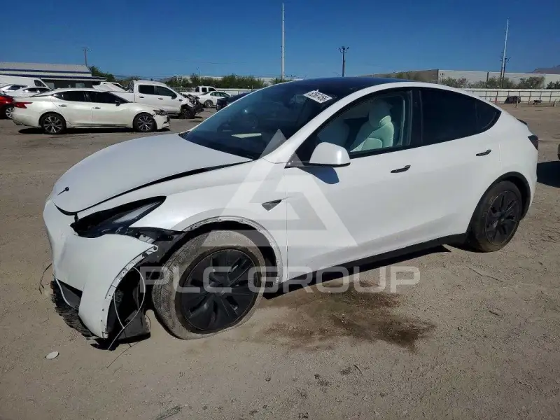 2024 Tesla Model Y photo