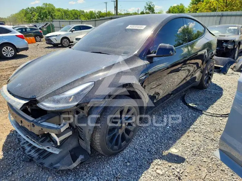 2024 Tesla Model Y фото