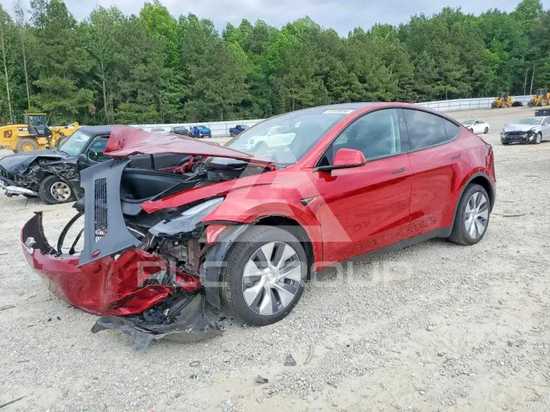 2024 Tesla Model Y photo