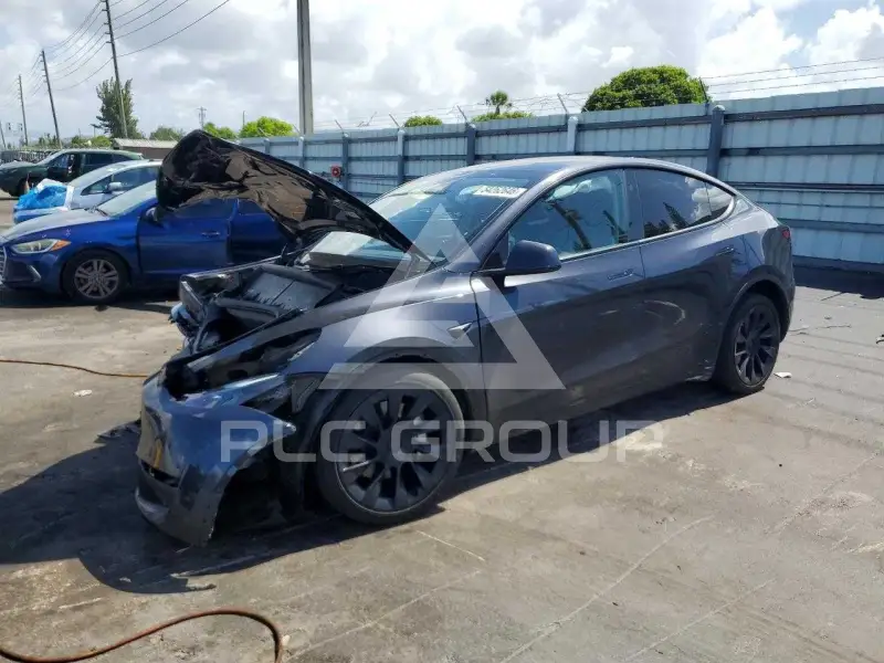 2024 Tesla Model Y photo