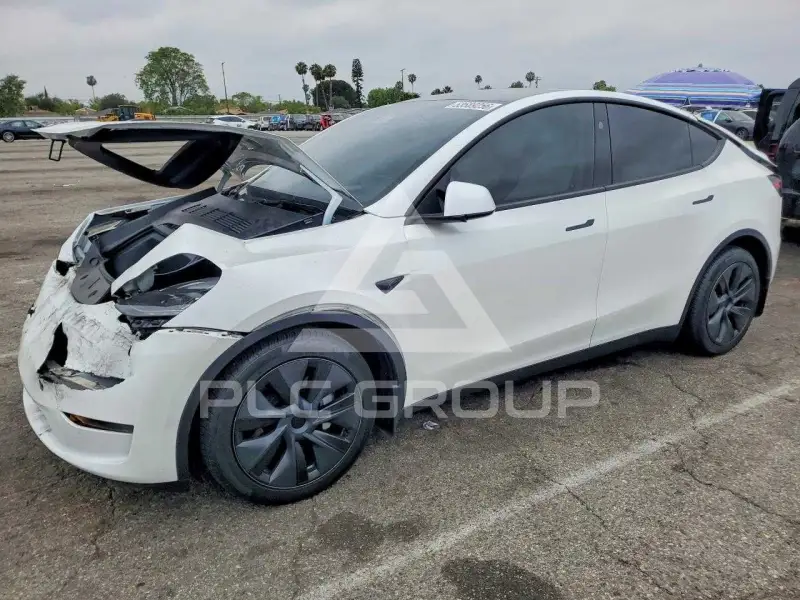 2024 Tesla Model Y фото