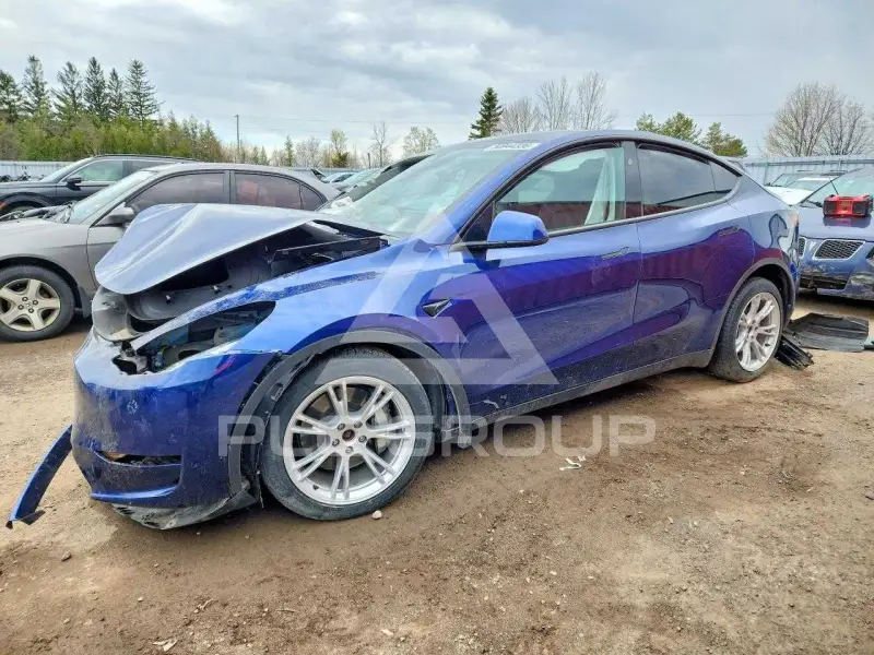 2024 Tesla Model Y фото