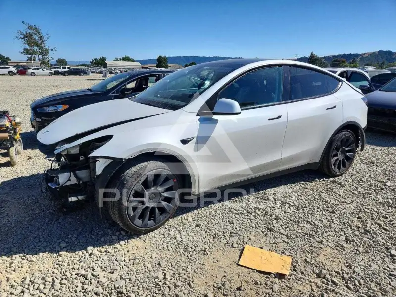 2024 Tesla Model Y фото