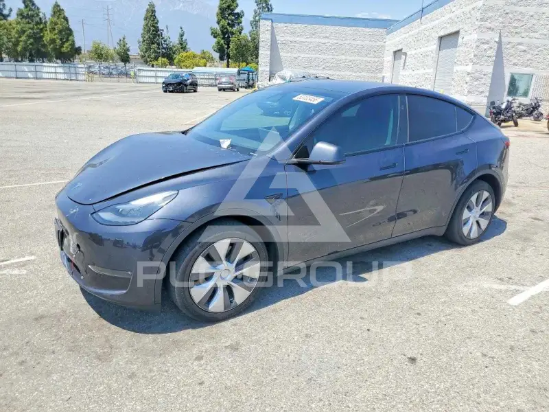 2024 Tesla Model Y photo