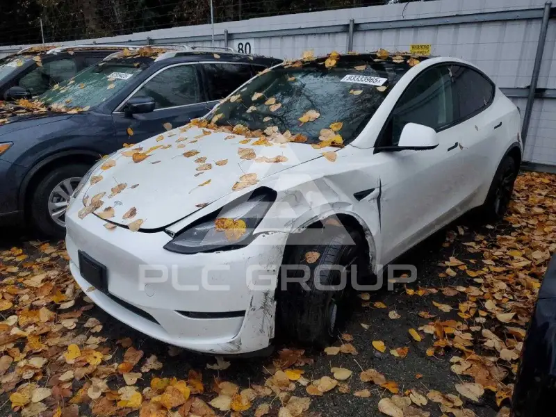 2024 Tesla Model Y photo