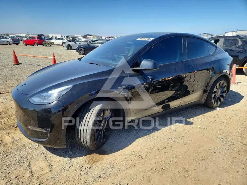 2024 Tesla Model Y photo
