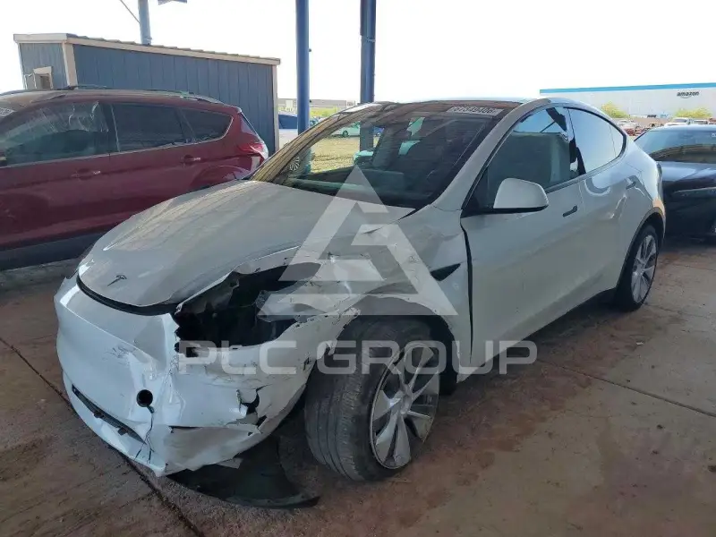 2024 Tesla Model Y фото