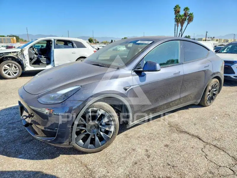2024 Tesla Model Y фото
