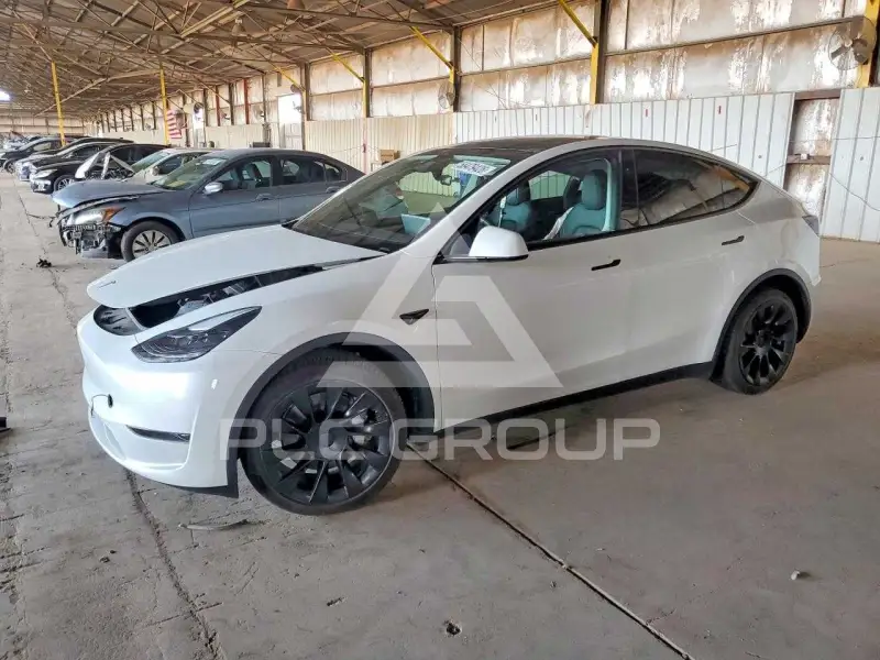 2024 Tesla Model Y фото