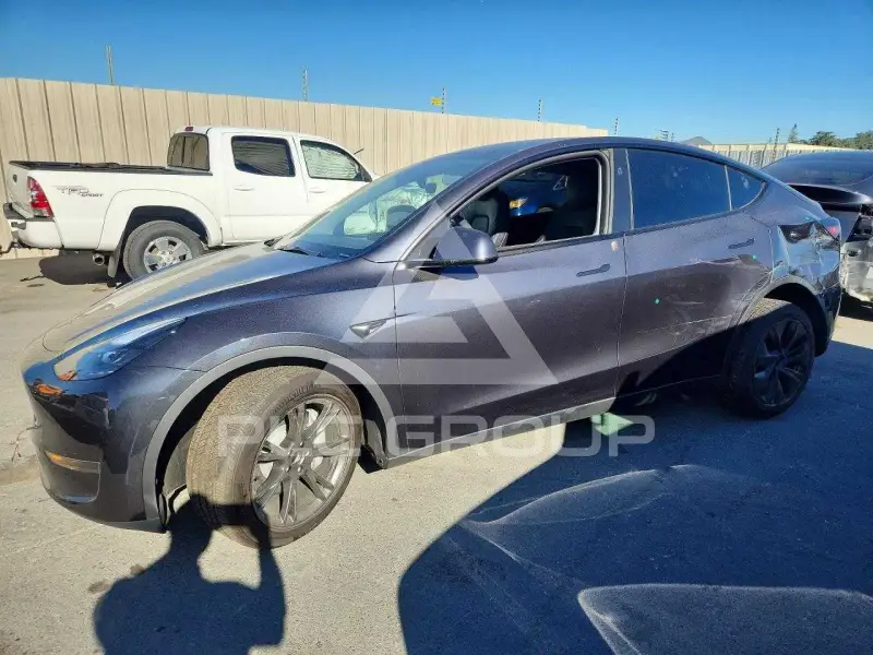 2024 Tesla Model Y photo