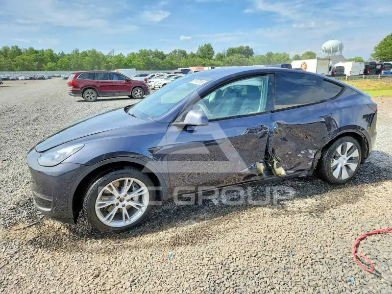 2024 Tesla Model Y photo