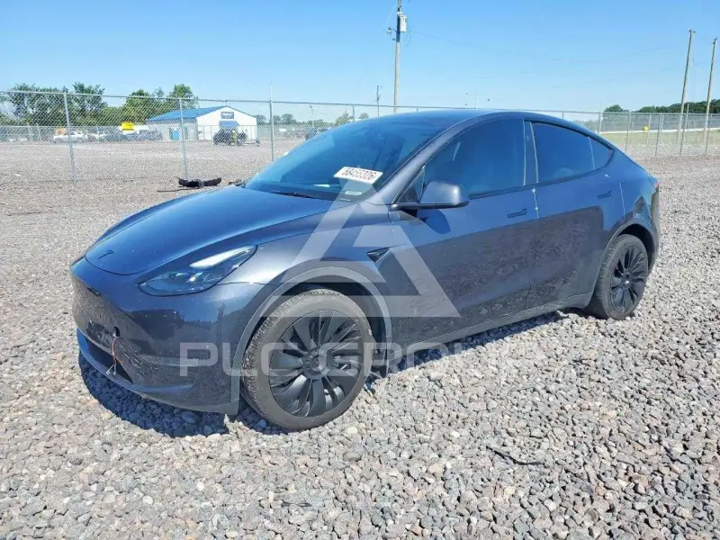 2024 Tesla Model Y photo