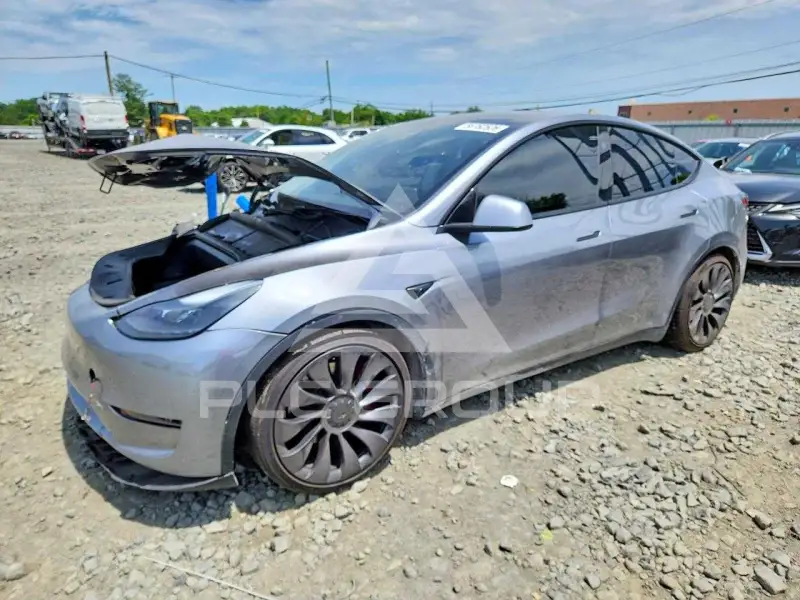 2024 Tesla Model Y photo