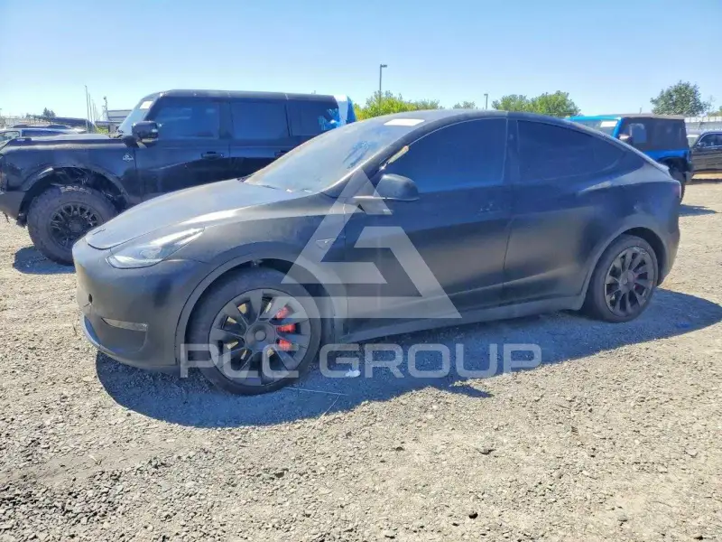 2024 Tesla Model Y фото