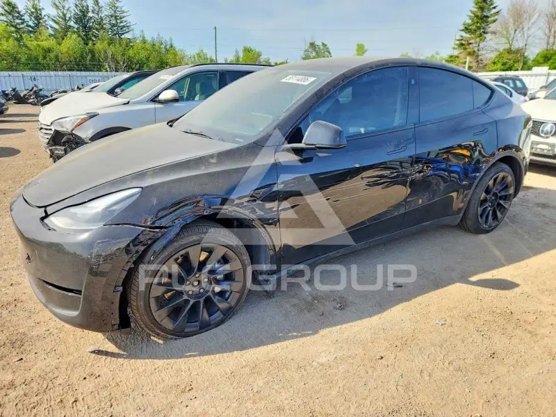 2024 Tesla Model Y фото