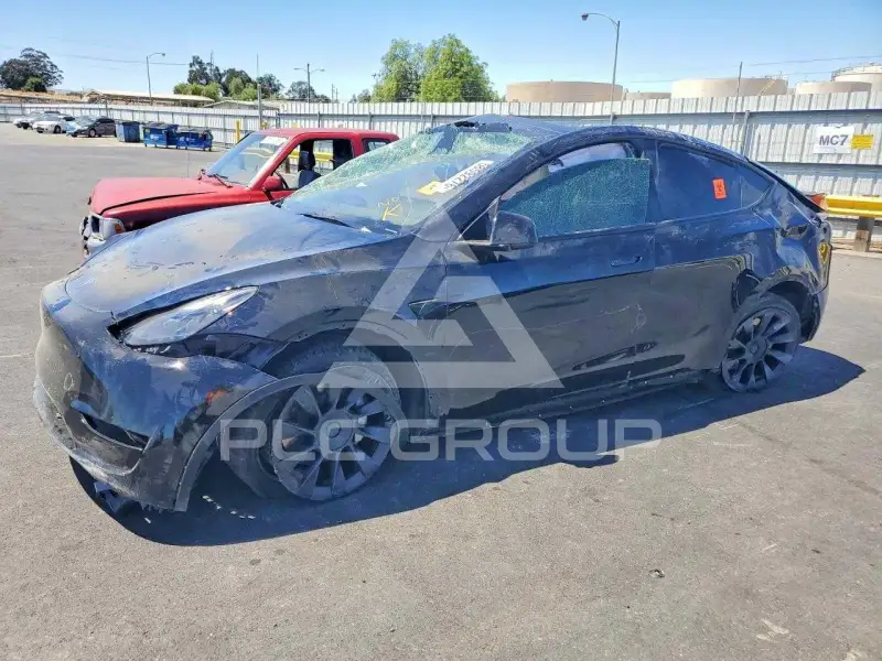 2024 Tesla Model Y фото