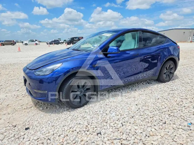 2024 Tesla Model Y photo