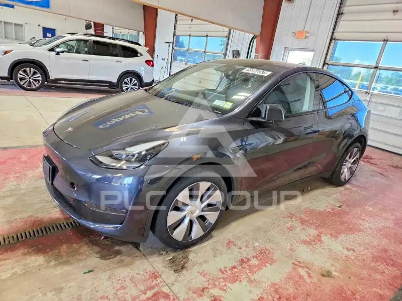 2024 Tesla Model Y фото