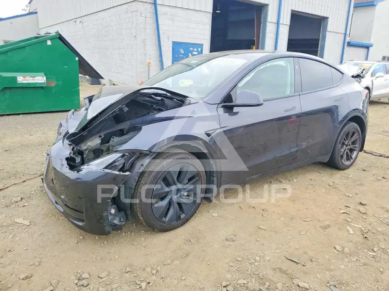 2024 Tesla Model Y photo